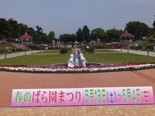 20170530敷島公園バラ園1