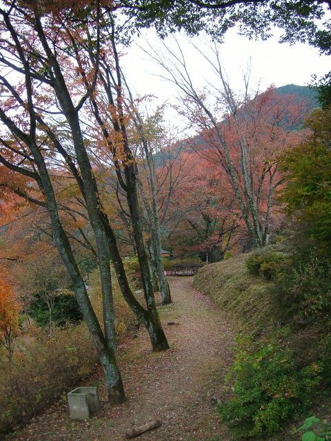2008.11.埼玉県神川町、城峯公園