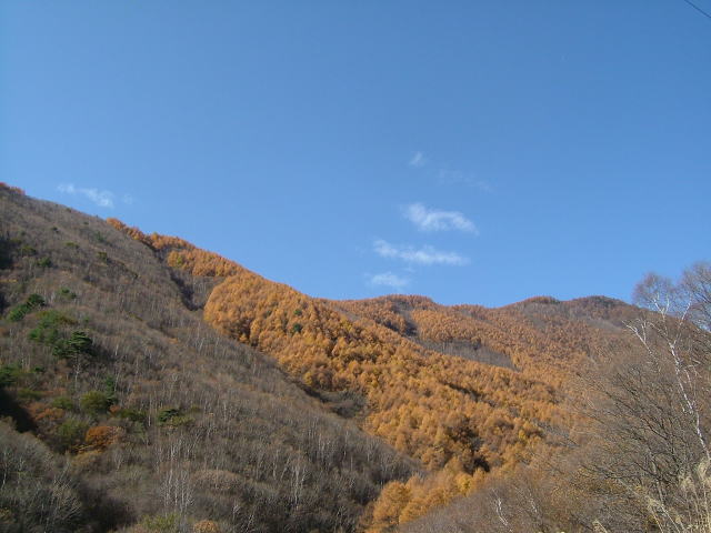 2008.11.長野県東御市、湯の丸高原