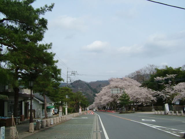 2008.4.埼玉県長瀞町、桜