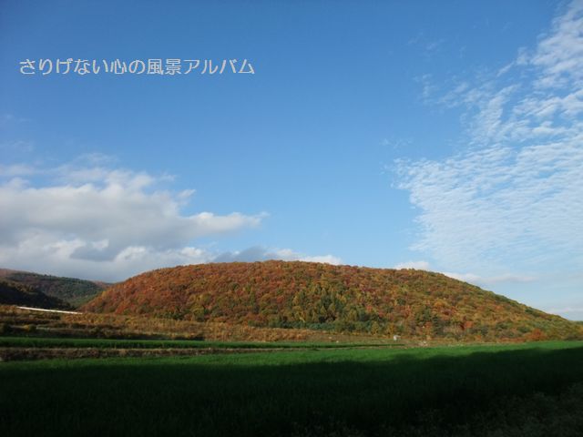 2009.10.群馬県嬬恋村、紅葉の嬬恋パノラマライン