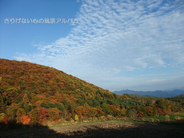 2009.10.群馬県嬬恋村、紅葉の嬬恋パノラマライン