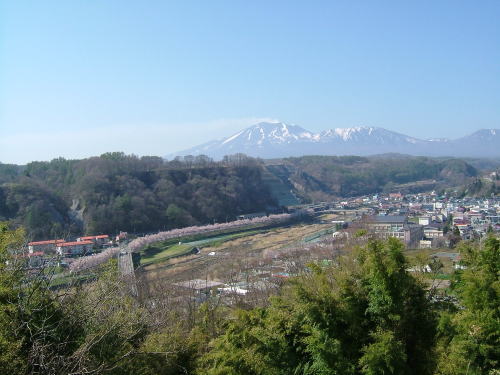 2006.5.群馬県嬬恋村、桜並木