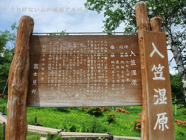 2010.7.長野県富士見町、入笠湿原1-2.jpg