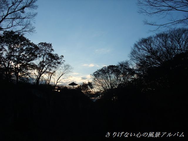 2010.11.長野県小諸市、紅葉の懐古園の夕暮れ