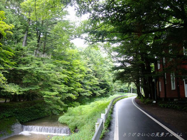 2011.8.長野県軽井沢町、夏の旧軽井沢