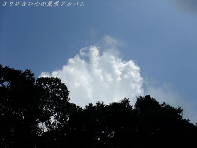 2011.7.長野県御代田町、ギッパ岩からの眺め
