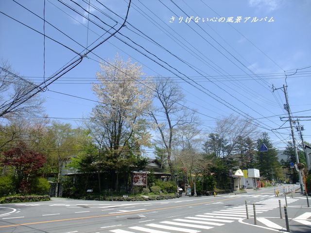 2012.5.長野県軽井沢町、新緑の雲場通り