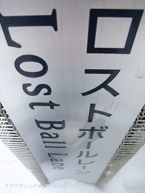 2012.2.長野県軽井沢町、雪のロストボールレーン