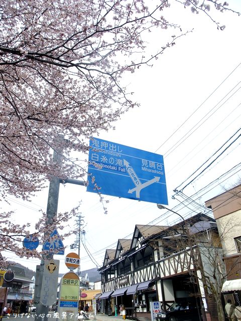 2013.4.長野県軽井沢町、旧軽井沢ロータリーの桜