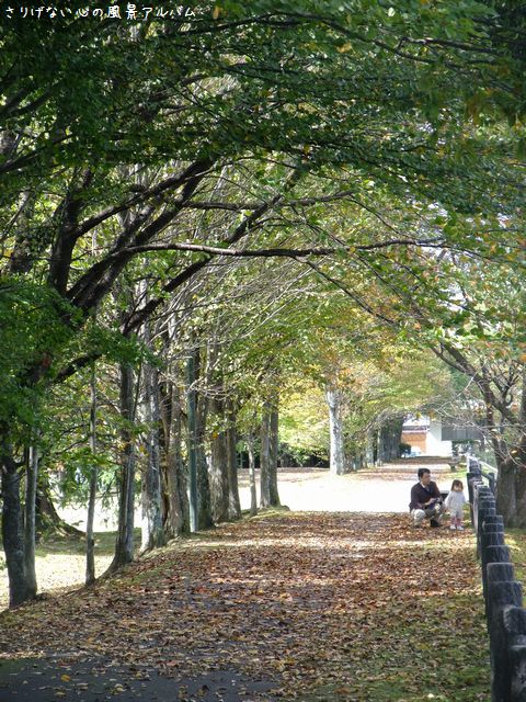 2013.9.長野県軽井沢町、初秋の軽井沢散歩。矢ヶ崎公園