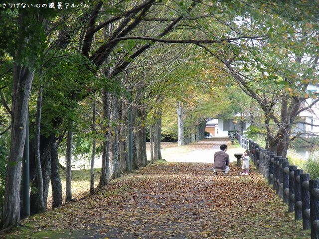 2013.9.長野県軽井沢町、初秋の軽井沢散歩。矢ヶ崎公園