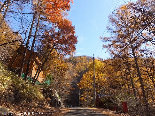 2013.11.長野県御代田町、ギッパ岩展望台からの紅葉景色