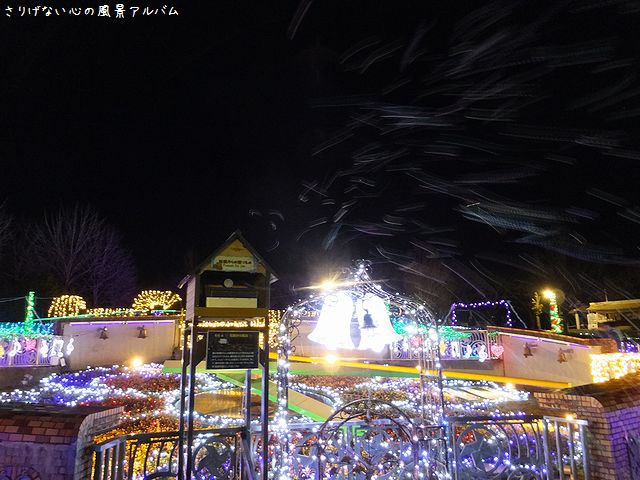 2014.12.ぐんまフラワーパークのイルミネーション13.jpg