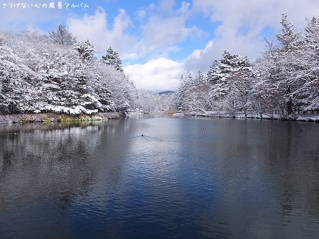 2014.12.雪の雲場池02.jpg