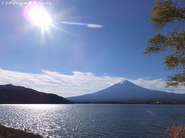 2014.11.河口湖の紅葉と富士山2.jpg