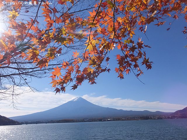 2014.11.河口湖の紅葉と富士山4.jpg