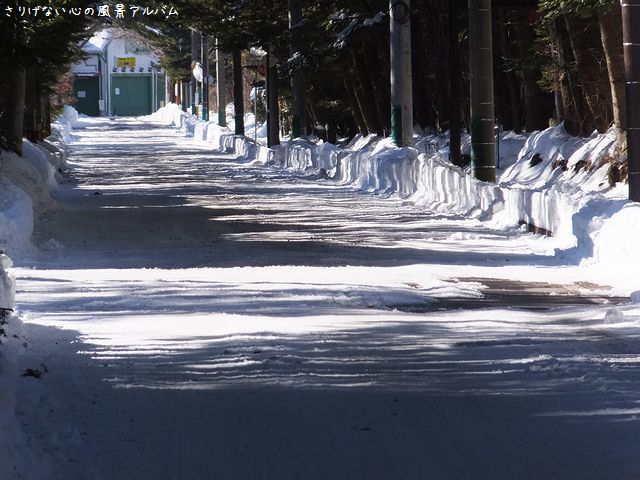 軽井沢町 冬景色 Part7 16年2月 インフォメーション