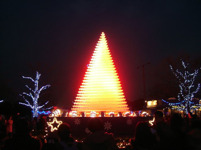2008.12.東京都立川市、昭和記念公園のイルミネーション