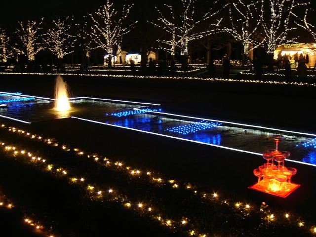 2008.12.東京都立川市、昭和記念公園のイルミネーション