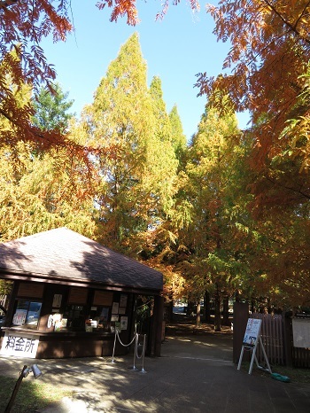神戸市立森林植物園　