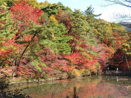 神戸市立森林植物園　