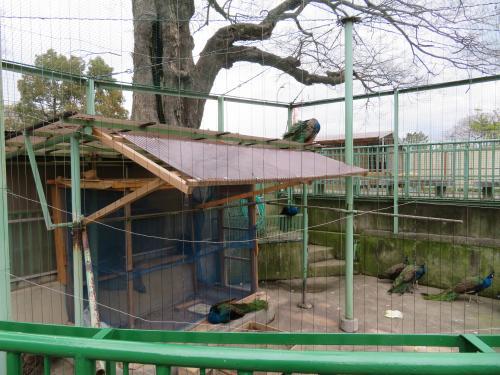 2016　12　29 　お城の動物園