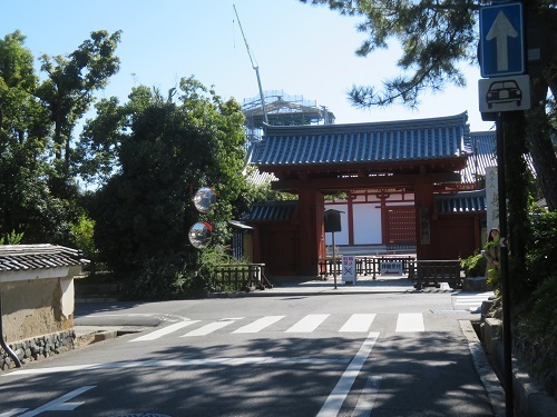 2019 11 6 奈良　薬師寺