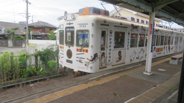 20237５和歌山電鉄　電車