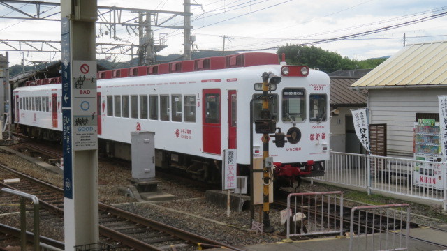 20237５和歌山電鉄　電車