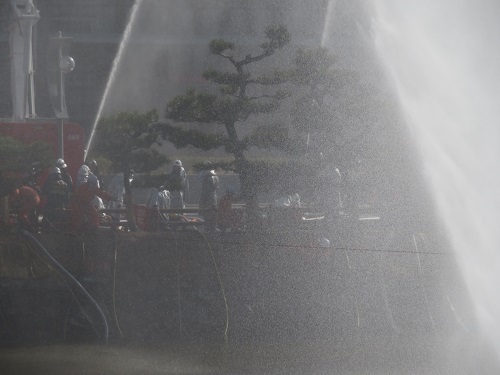 平成31年　消防出初式　救助隊による救助訓練