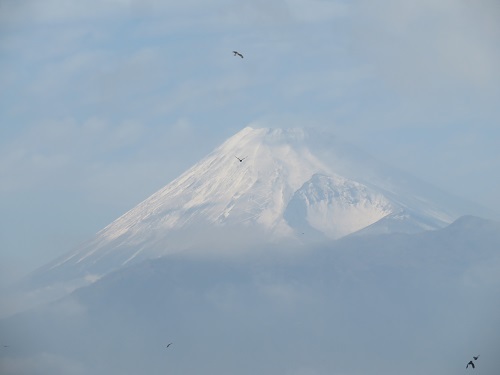 2019 2 6 富士山の見えるお部屋
