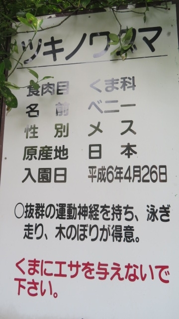2019 5 2 旧浅香山浄水場